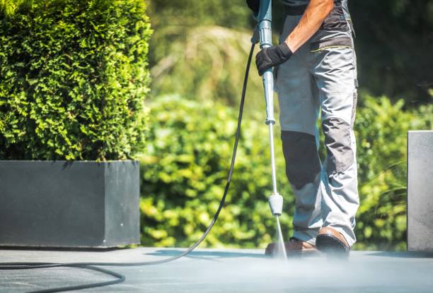 Animal Enclosure Cleaning in Batesville, AR
